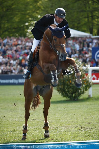 horse standing before water high-climbs to jump effective equestrian image