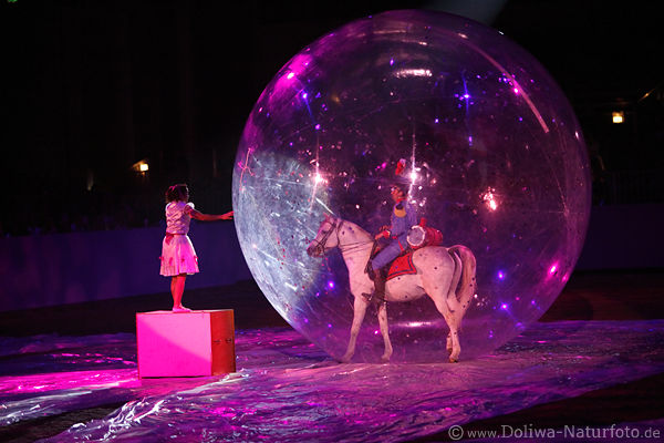 Horserider in a ball with girl horseshow gala world of the horses