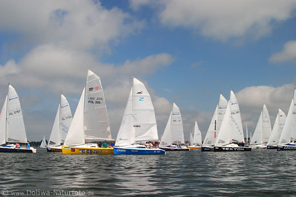 Sailboats regatta on water skiper-race boats-skyline 