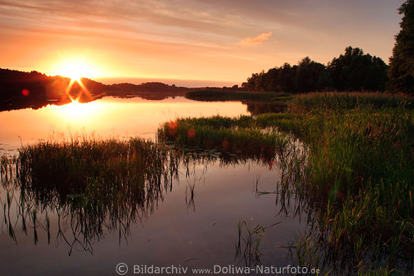 Sunset over water landscape shore nature romantic mood photo