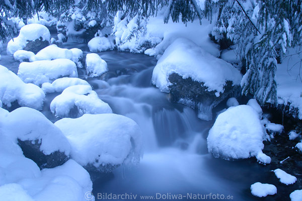 Snow over water brook winter-magic nature blue-white colors