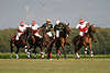4polo1429_Poloplayer horse-riders action polo-match picture Thomas Winter & right Santos Anca gallop to the polo-ball